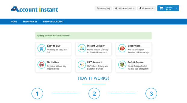 accountinstant.com