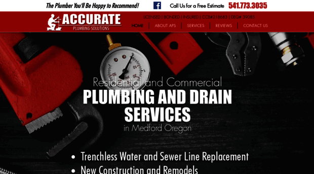 accurate-plumbing.com