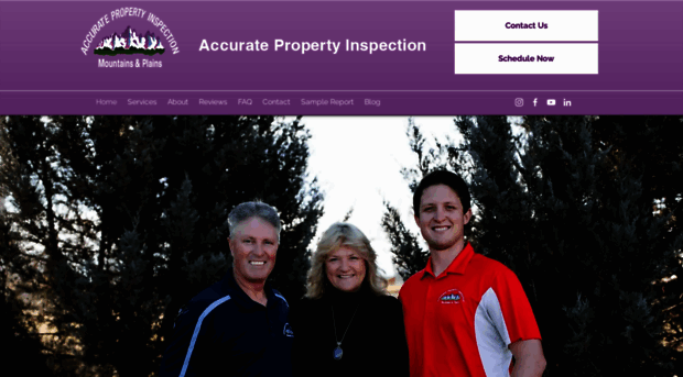 accuratepropertyinspection.company