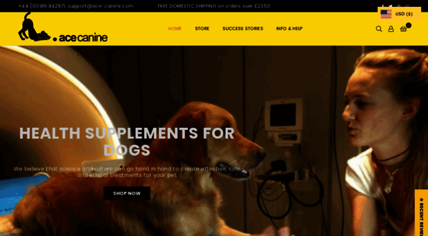 ace-canine.com