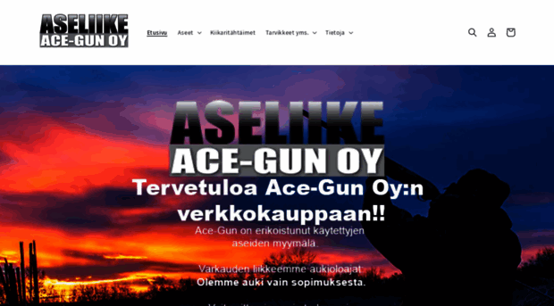 ace-gun.com