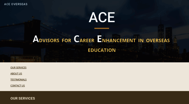 ace-overseas.com