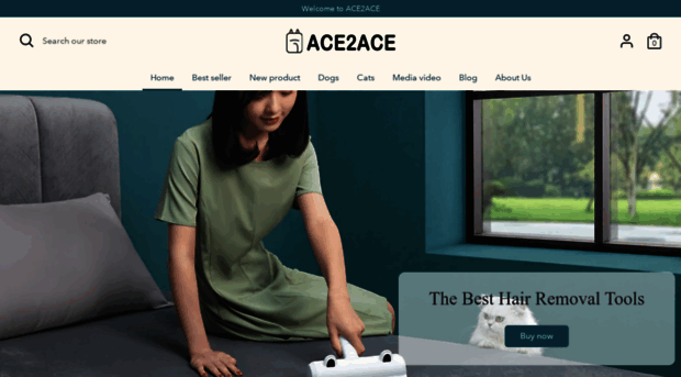 ace2ace.com