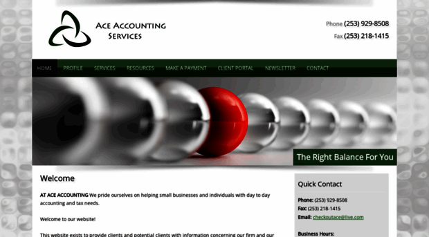 aceaccountingservicesllc.com