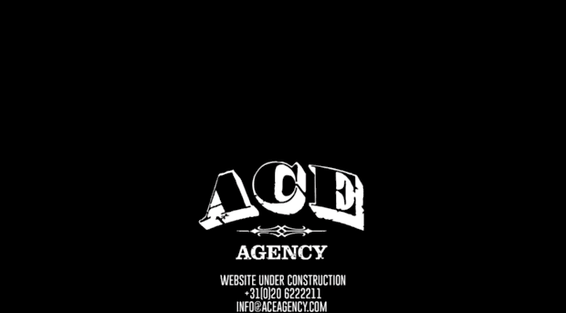 aceagency.com