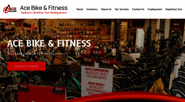 acebikeandfitness.com