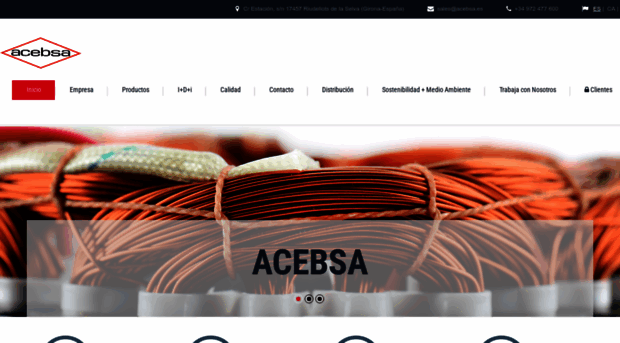 acebsa.com