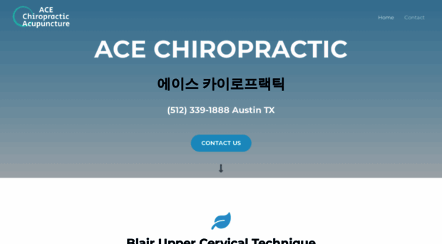 acechirolee.com