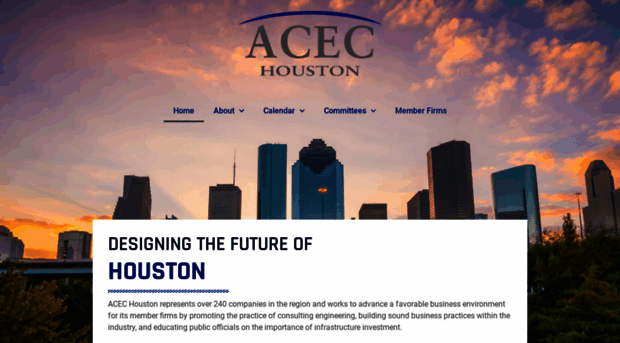 acechouston.org