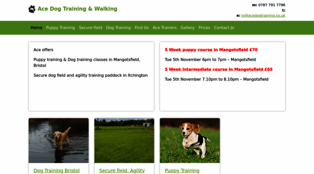 acedogtraining.co.uk