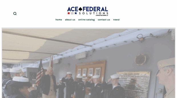 acefederalsolutions.com