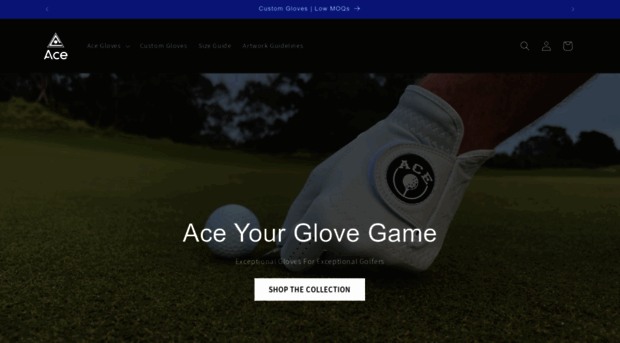 acegolf.com.au