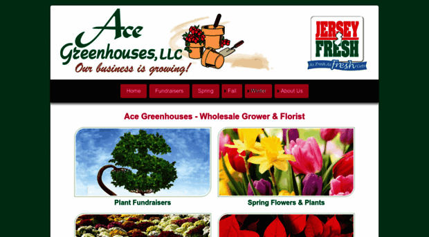 acegreenhousesnj.com