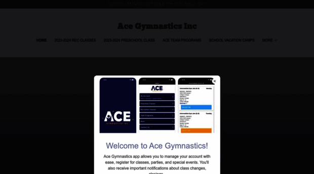 acegymnasticsinc.com