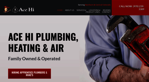 acehiplumbing.com