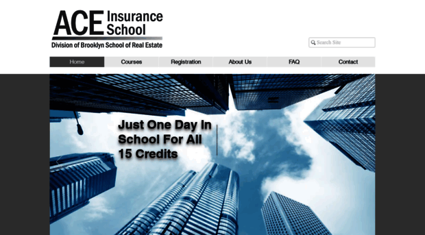 aceinsuranceschool.com