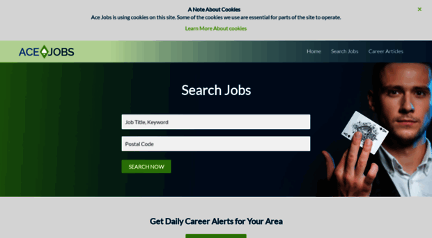 acejobs.net