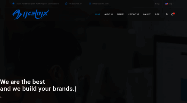 acelinx.com