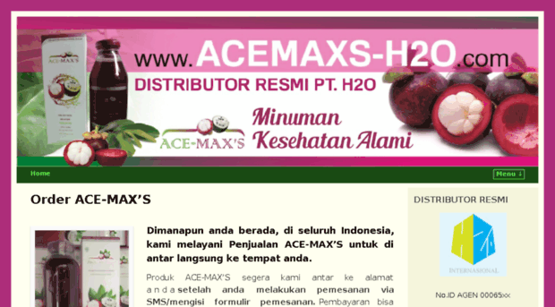 acemaxs-h2o.com