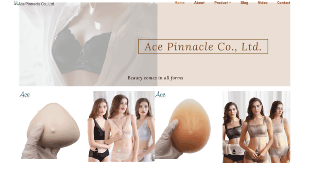 acepinnacle.com.tw