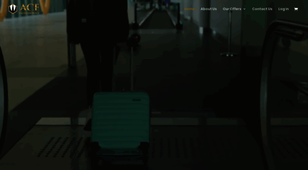 aceprofessionals.org