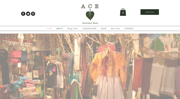 aceshop.in