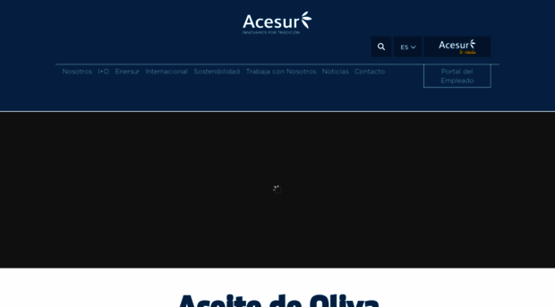 acesur.com