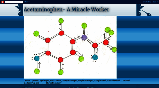 acetaminophenrules.blogspot.com