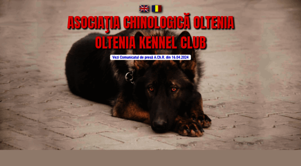 acholtenia.ro