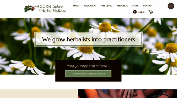 acornherbschool.com