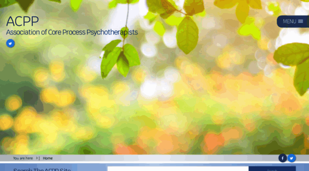 acpponline.net