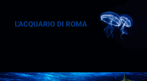 acquariodiroma.com