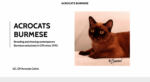 acrocats.com