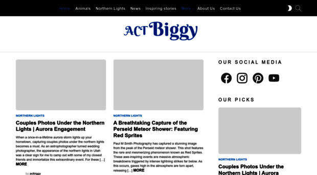 actbiggy.com