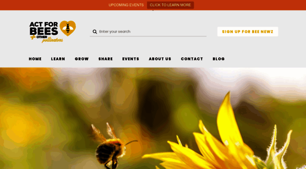 actforbees.org