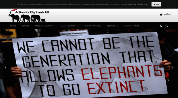 actionforelephantsuk.org