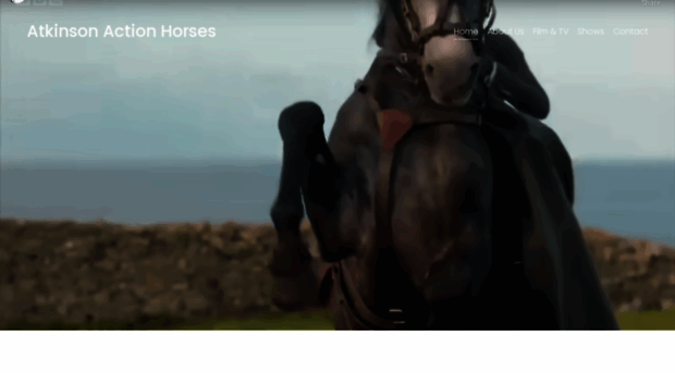 actionhorses.co.uk