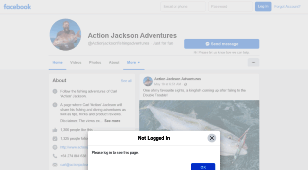 actionjacksonadventures.com