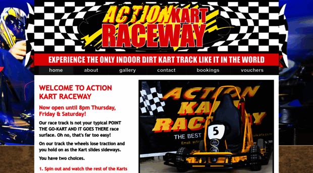 actionkarts.co.nz