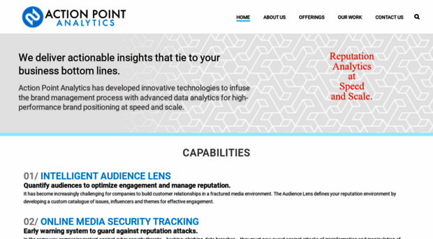 actionpointanalytics.com