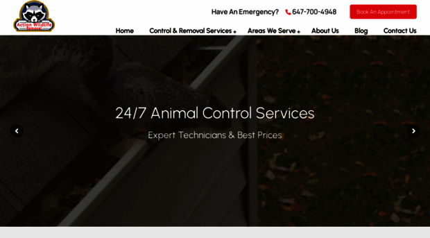 actionwildliferemoval.ca