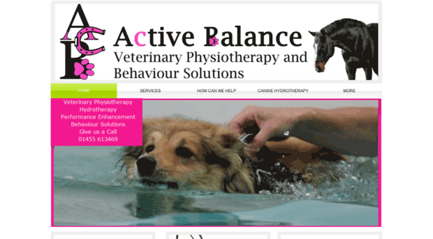 activebalance-vetphysio.co.uk