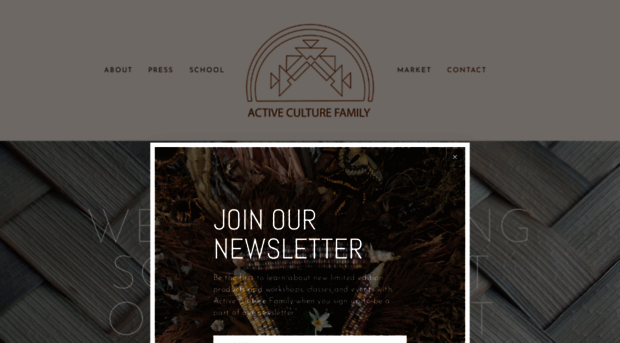activeculturefamily.com