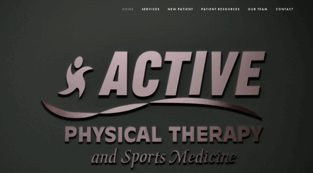 activephysicaltherapymi.com