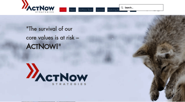 actnowstrategies.com