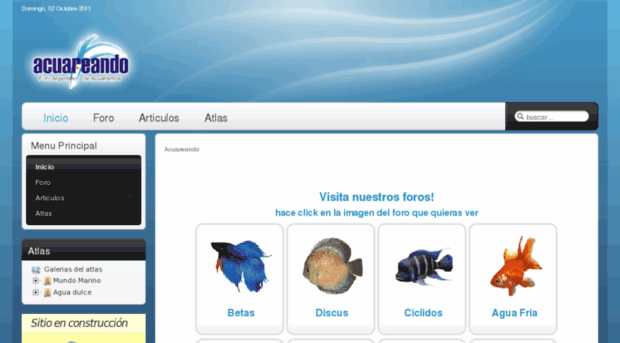 acuareando.com.ar