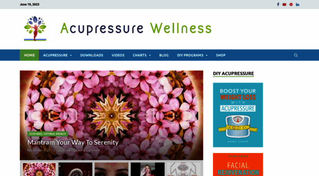 acupressurewellness.com