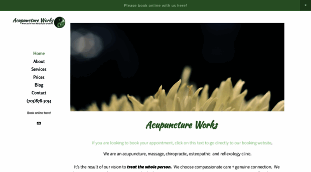 acupuncture-works.ca