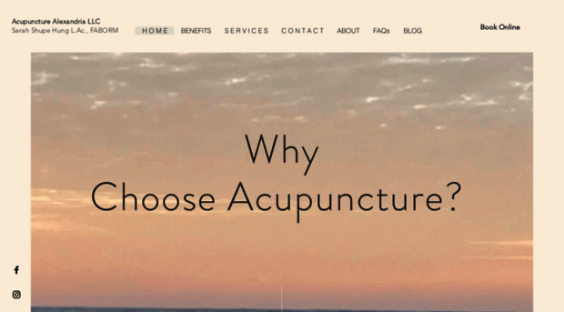 acupuncturealexandria.com