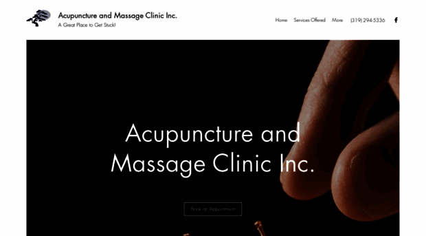 acupunctureclinic.biz